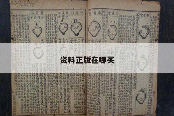 资料正版在哪买/买资料书在哪个网站便宜