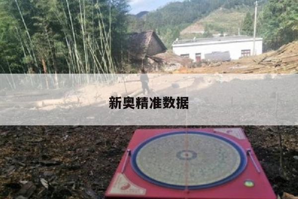 新奥精准数据/新奥查询