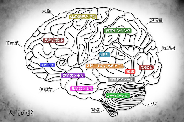 我们的秘密5集免费观看全集高清