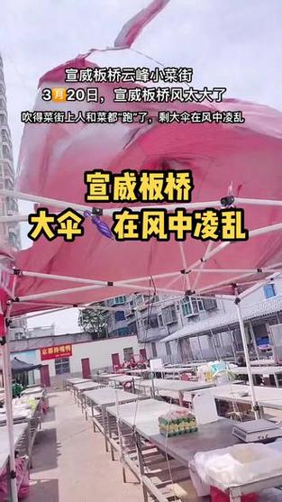 兰州大风自行车起飞,兰州大风自行车起飞视频