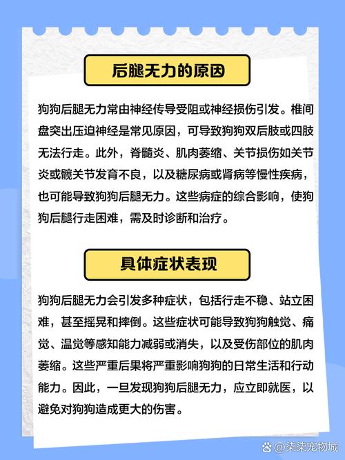 7777788888新版跑狗资料和睡眠不足者攻击性强与睡眠不足伤什么器官