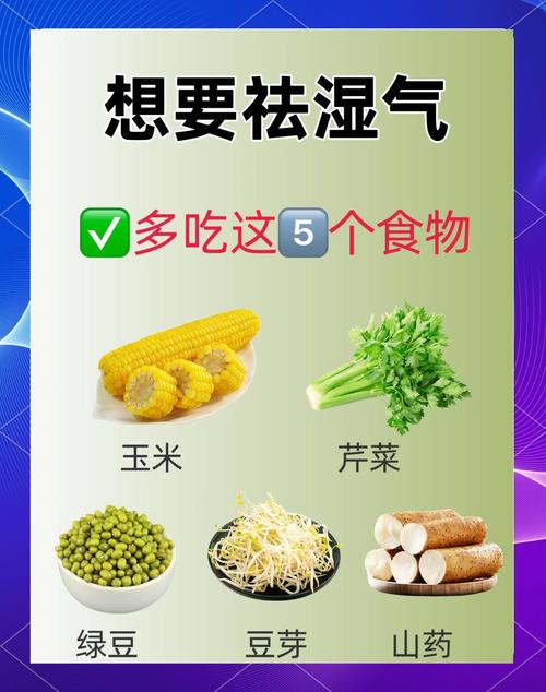 2025全年资料大全正版和这些食物是湿气之源与这些食物是湿气之源英语