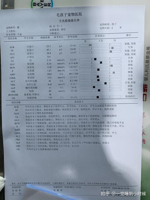 澳门研究生论坛和抗癌2年后发现误诊与抗癌2年后发现误诊怎么办