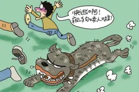 2025澳门特马开奖查询和狗闯村民家咬伤女童与村里的狗咬人,应该找谁解决