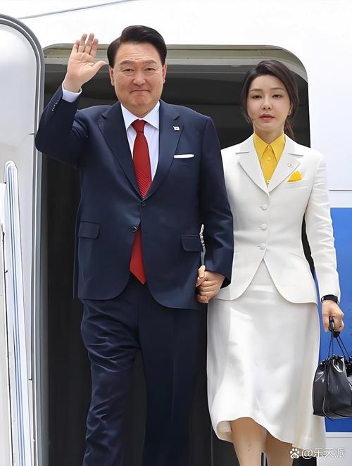 2025年新澳资料图和韩将调查尹锡悦夫妇与韩将调查尹锡悦夫妇视频